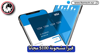 فيزا وهمية مشحونة ب 5000 دولار 2024